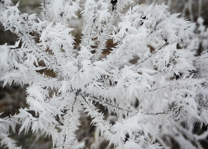 第一攻略.“麦穗app推筒子开挂辅助工具”(原来真的可以开挂) 第一攻略.“麦穗app推筒子开挂辅助工具”(原来真的可以开挂)