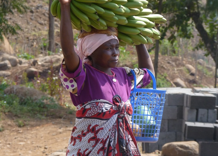 非洲疫情严重不严重:非洲疫情严重不严重呀 非洲疫情严重不严重:非洲疫情严重不严重呀