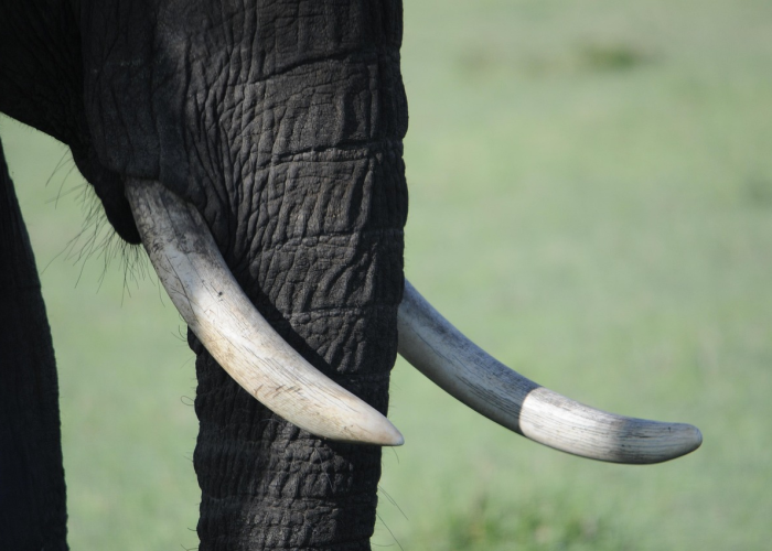 非洲疫情严重不严重:非洲疫情严重不严重呀 非洲疫情严重不严重:非洲疫情严重不严重呀