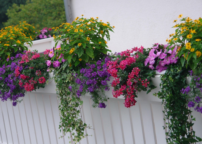 今日重大发现“花花生活圈究竟有挂吗”［太坑了原来有挂］