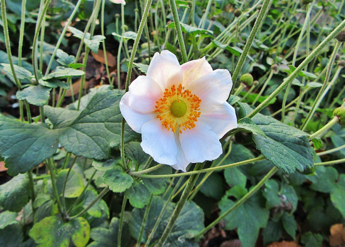 今日重大发现“花花生活圈究竟有挂吗”［太坑了原来有挂］
