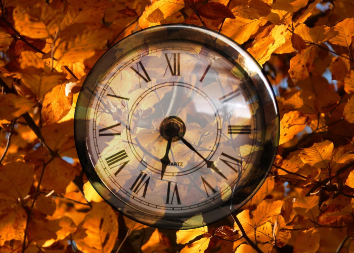 疫情开始到结束用了多少时间?一场全球共同的时间记忆 疫情开始到结束用了多少时间?一场全球共同的时间记忆