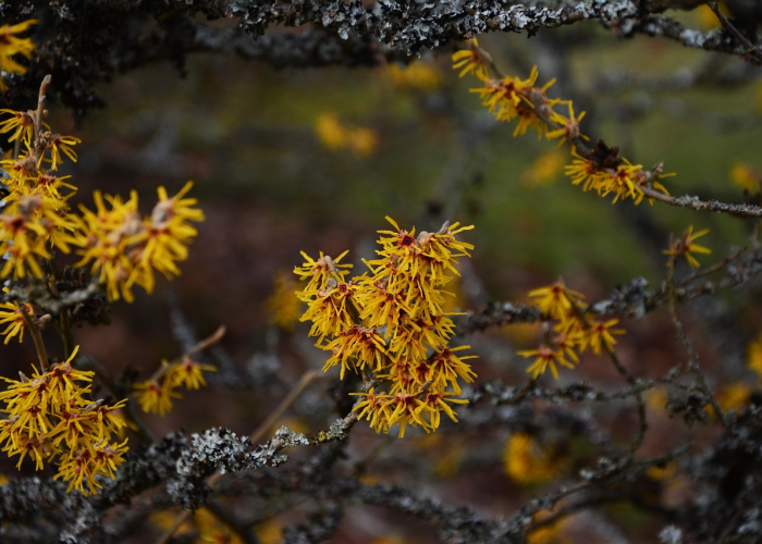 [推荐]“桃花庄有挂吗”(确实真的有挂)