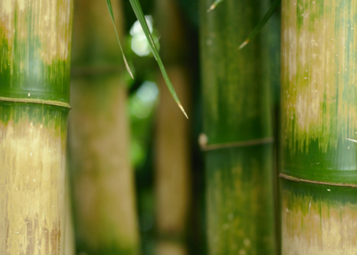 [解答]“欢乐龙城3怎么开挂”(原来确实是有挂)