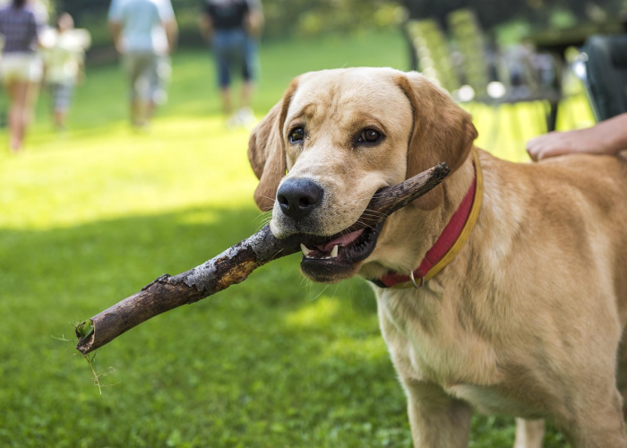 推荐一款“铭心斗牛其实有辅助器”(其实有挂)-知乎 推荐一款“铭心斗牛其实有辅助器”(其实有挂)-知乎