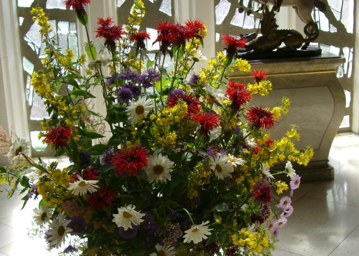 ［解答］“开心武汉花究竟有挂吗”［详细开挂教程］