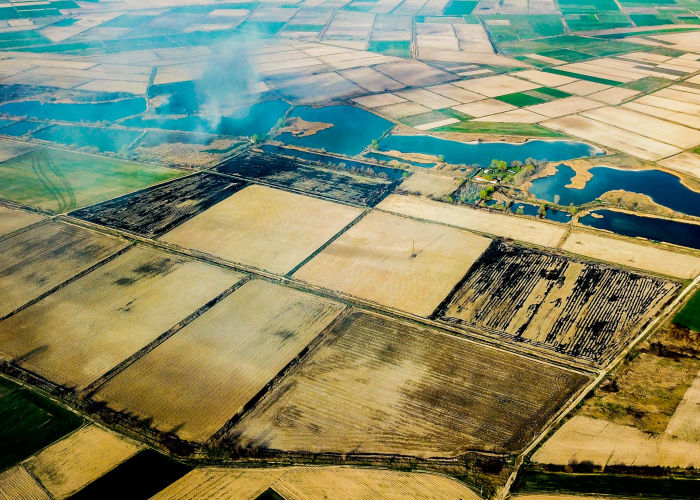 疫情最新消息2020年(疫情最新消息2021年) 疫情最新消息2020年(疫情最新消息2021年)