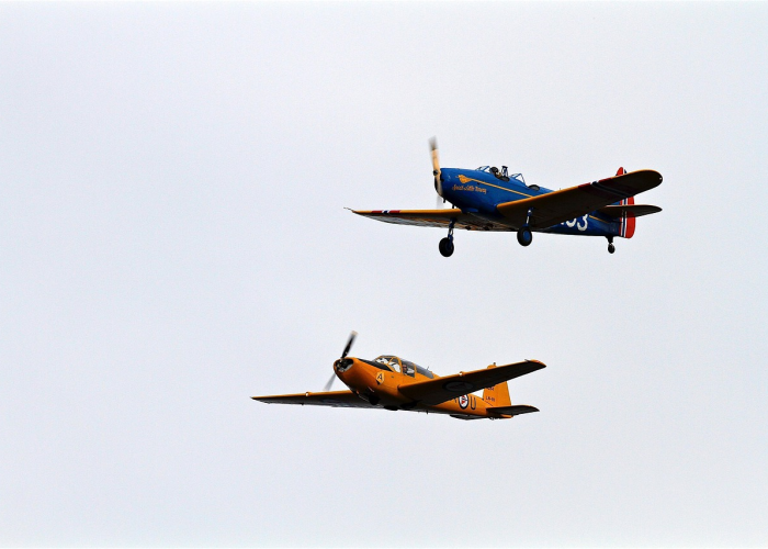 重大通报.“飞鹰金花能不能开挂”其实真的能开挂