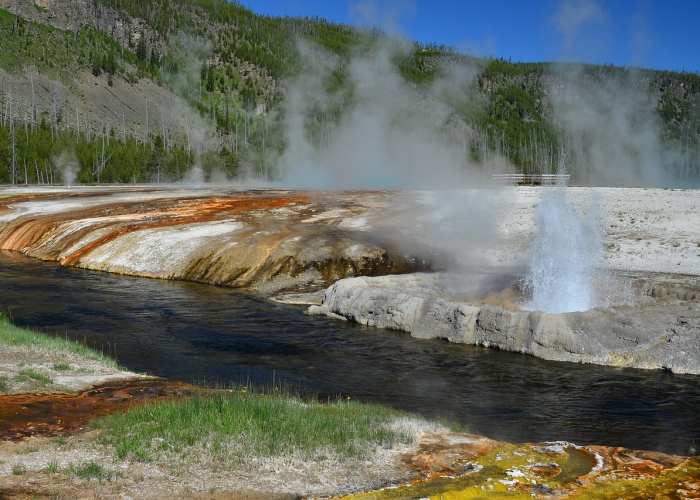 疫情是哪年爆发的(疫情是哪年爆发的新冠病毒) 疫情是哪年爆发的(疫情是哪年爆发的新冠病毒)