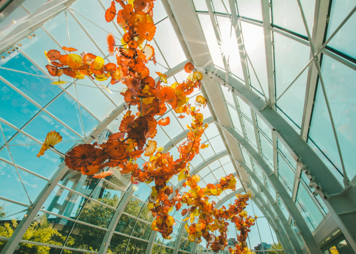 ［最新攻略］“毛豆大厅拼三张到底是不是挂”［果然有透视挂］