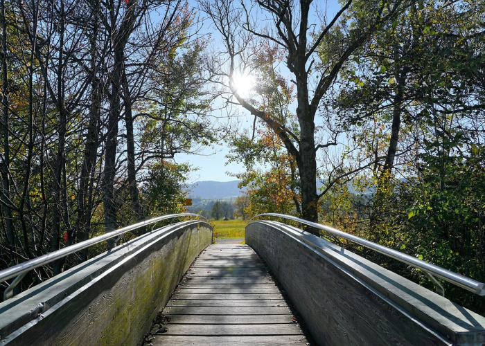 [分析]“农场假日可以开挂吗”(确实真的有挂)