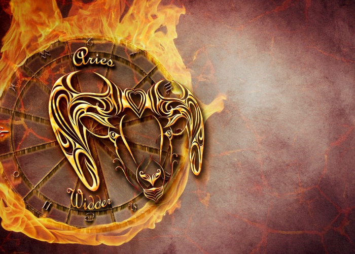 [分享]“新金龙怎么开挂”开挂详细教程