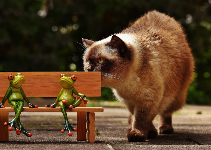 最新引进“开心泉州麻将怎么装挂”［其实是有挂］