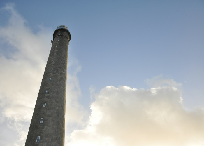 独家分享“来来灯塔到底是不是挂”［必胜开挂神器］