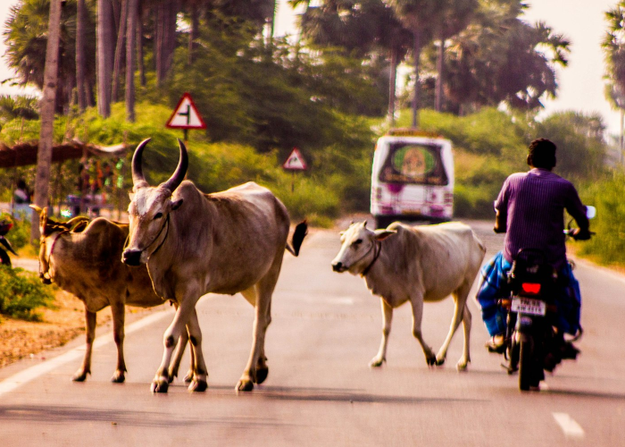 科技重磅消息“微信牛牛开挂器”［确实真的有挂］