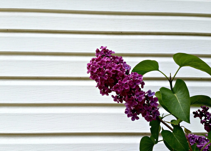 重大发现“天蝎炸/金/花可以开挂吗”［原来真的有挂］