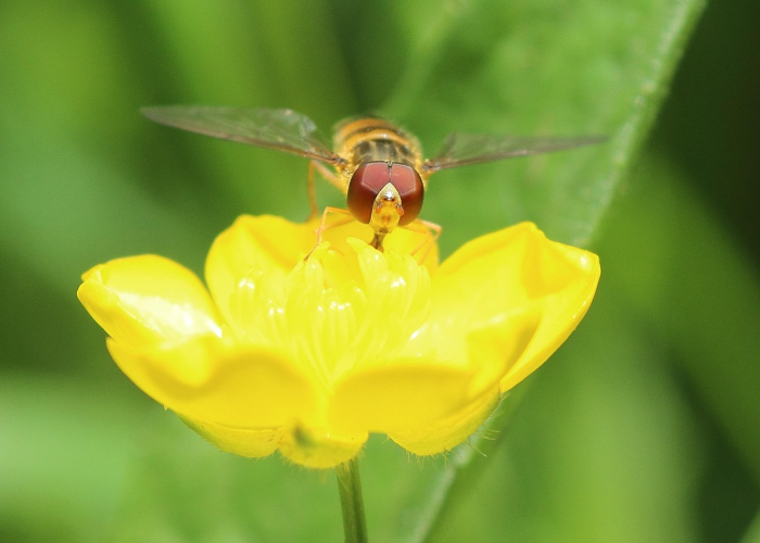 终于出现"“新蜜瓜果然有挂”原来真的有挂