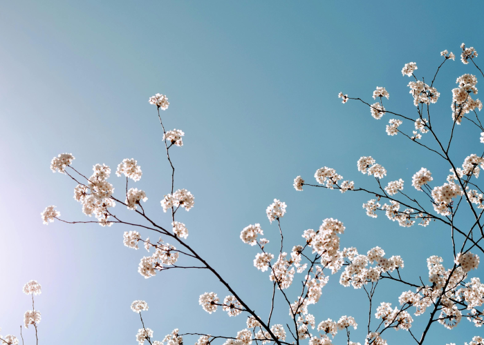 今日重大消息“锦绣山河到底是不是挂”［详细开挂教程］