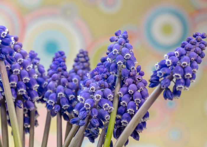 盘点一款“花花生活圈果然有挂”真的确实有挂乎 盘点一款“花花生活圈果然有挂”真的确实有挂乎