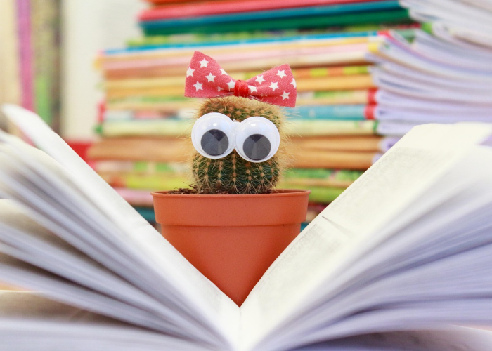 我来教教大家“新九五有没有透视挂吗”开挂步骤方法