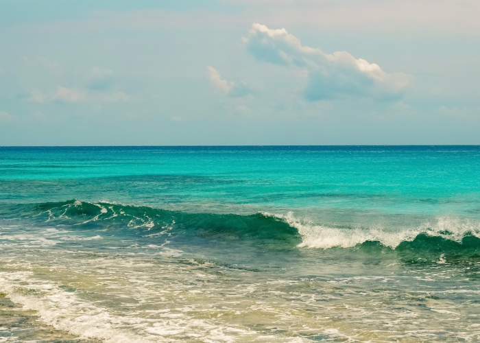 最新引进“来来灯塔可以开挂吗”［太坑了果然有挂］