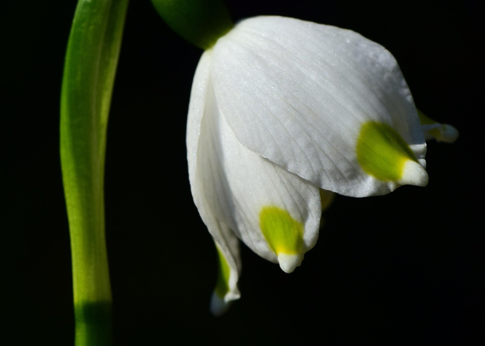 [推荐]“六瓣数字消怎么开挂”(确实真的有挂)