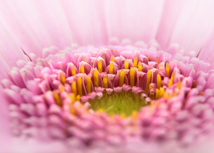 攻略推荐“花花生活圈到底有没有挂”[详细开挂玩法]