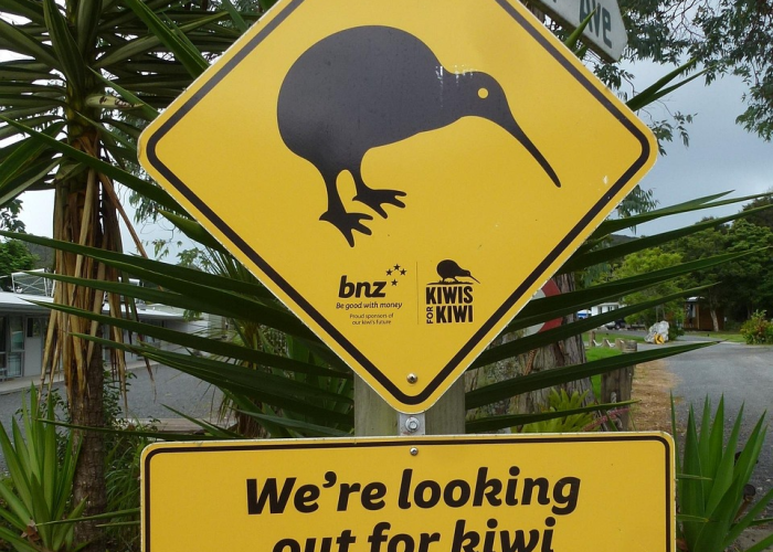 [解答]“蓬莱岛有没有挂”有挂详细开挂教程