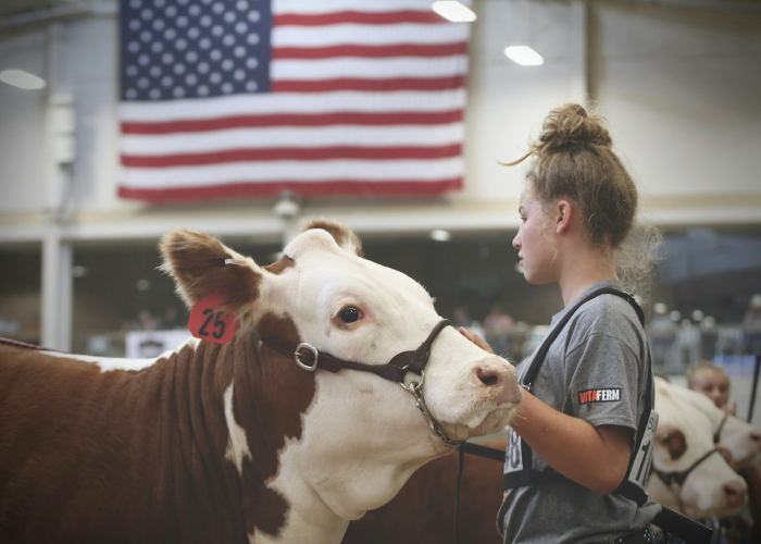 [推荐]“道游牛牛怎么开挂”(确实真的有挂)