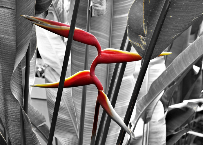 推荐一款“欢乐游透视挂辅助器下载”(的确有挂)