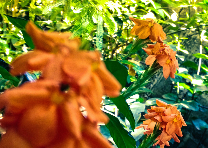 ［攻略科普］“新毛豆炸/金/花究竟有挂吗”［外卦神器下载］