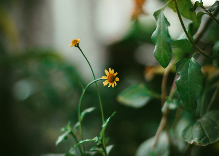 [分享]“花花生活圈到底有没有挂”原来可以开挂