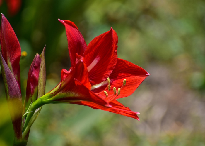 [分享]“花花生活圈到底有没有挂”原来可以开挂