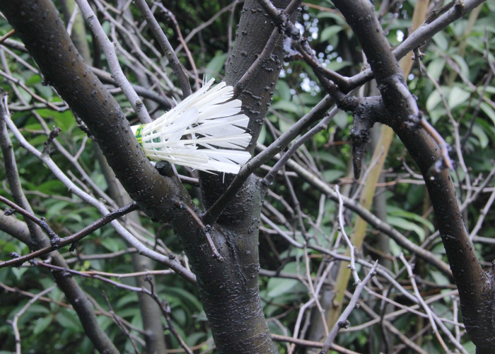 最新消息“大唐撸麻雀儿有没有挂吗”原来真的有挂