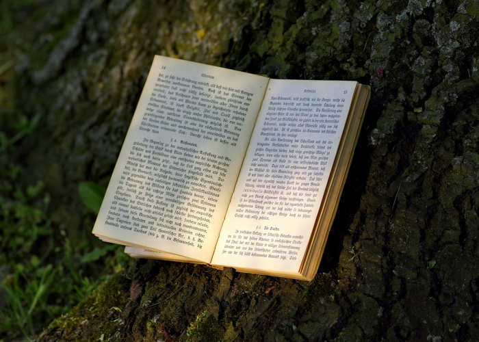 攻略推荐“玉海楼大金牙麻将是不是有挂”猫腻万能辅助器