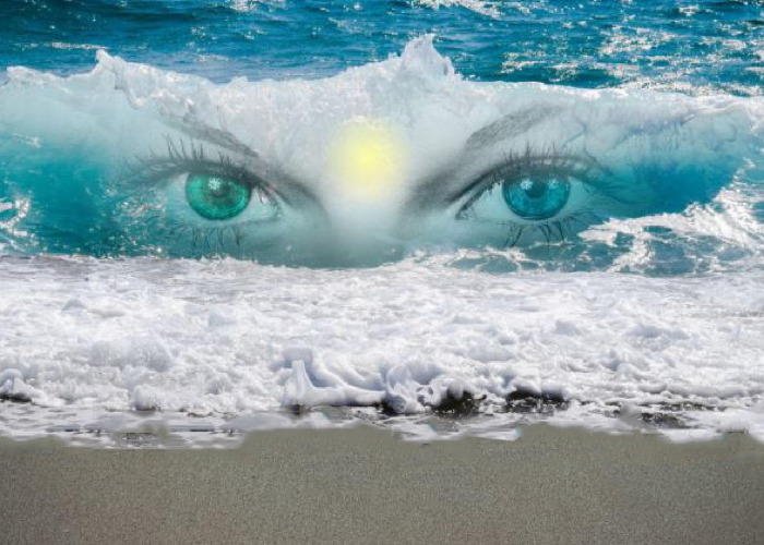 攻略推荐“鲨鱼互动到底能开挂吗”(原来真的可以开挂)