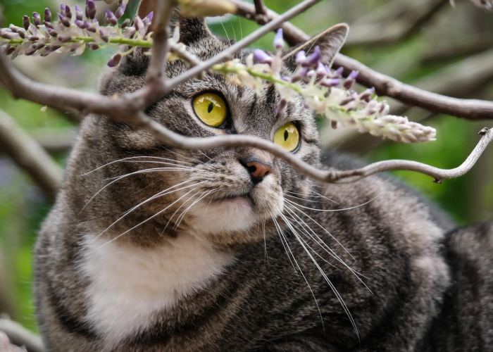 攻略推荐“鲨鱼互动到底能开挂吗”(原来真的可以开挂)