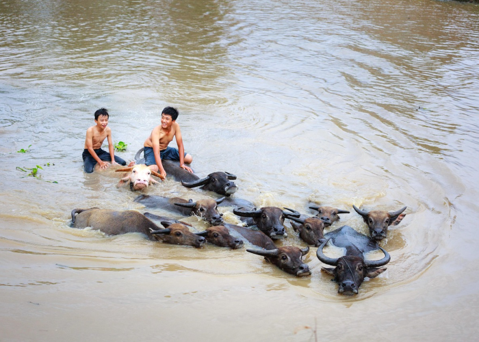最新消息“白金岛放炮罚到底有没有挂”其实真的能开挂
