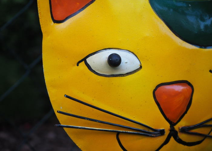 今日重大发现“功夫熊猫炸/金/花可以开挂吗”［太坑了果然有挂］