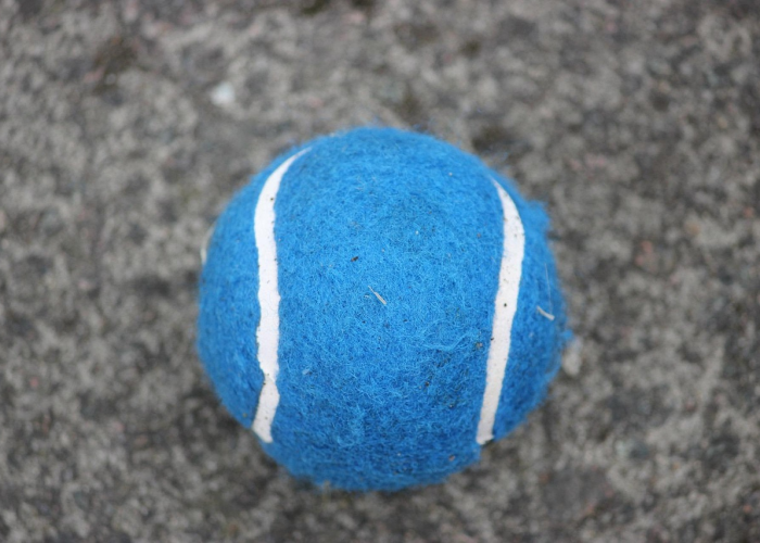 攻略推荐“椰子乐动其实是有挂的”[详细开挂玩法]