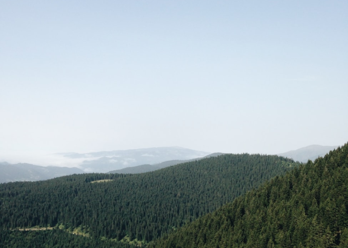 [分享]“蜀道山真的有挂吗”(原来确实是有挂)