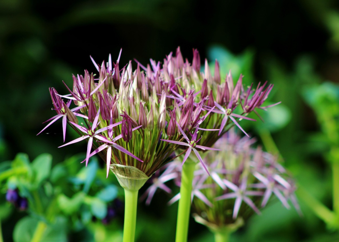 重大发现“新九天炸/金/花可以开挂吗”［确实真的有挂］