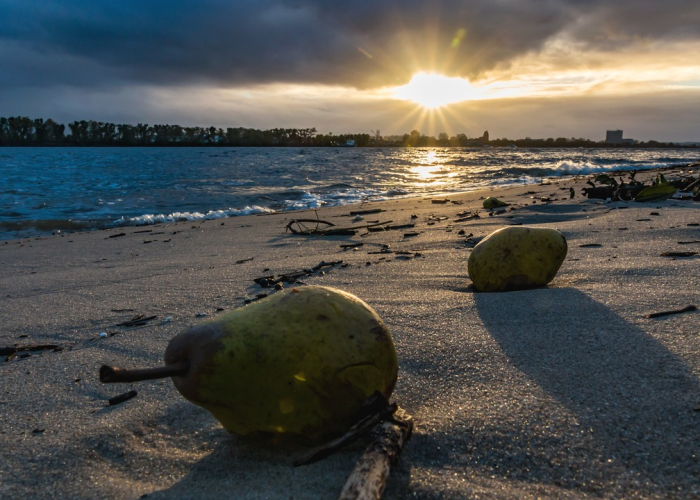 推荐一款“白金岛三打哈透视挂下载”(确实有挂)-知乎