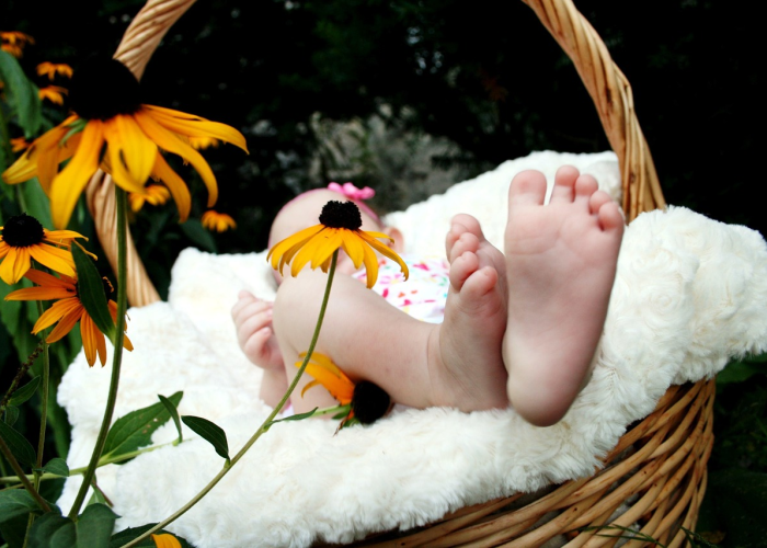 我来教教您“红豆炸/金/花到底是不是挂”［太坑了原来有挂］