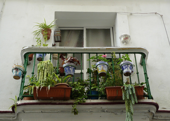 [推荐]“南门口有挂吗”原来可以开挂