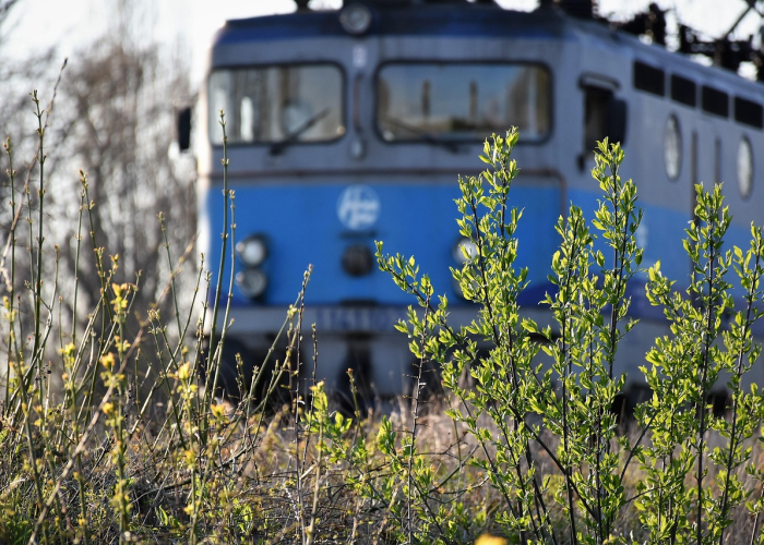 玩家实测“新道游牛牛其实是有透视挂”(原来真有挂)