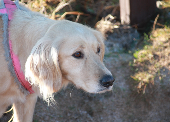 推荐一款“手机微信斗牛到底是不是有透视挂吗”(原来真有挂)-知乎 推荐一款“手机微信斗牛到底是不是有透视挂吗”(原来真有挂)-知乎