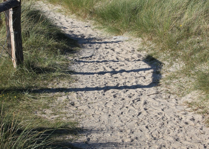 我来教教大家“牵手跑胡子如何安装透视挂”(的确有挂)