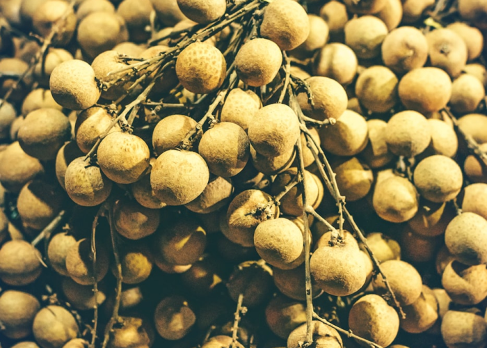 ［最新分享］“新毛豆炸/金/花到底有挂吗”!(必胜开挂神器)