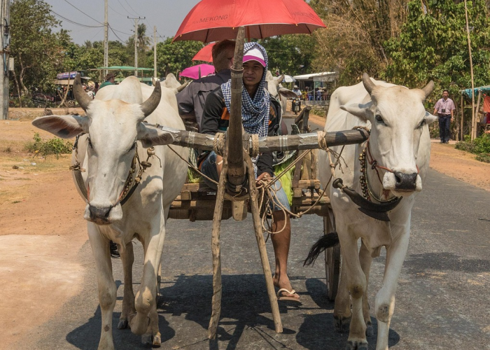 今日重大通报“新道游牛牛到底是不是有透视挂吗”(确实有挂)